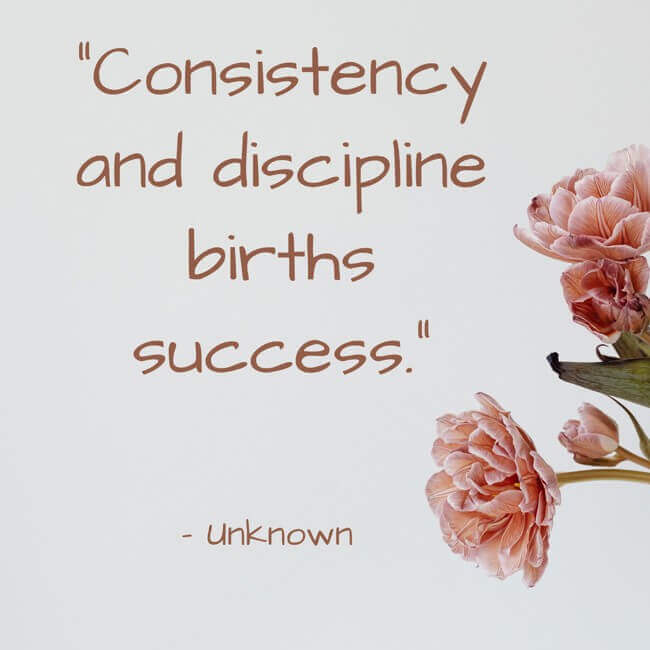 This image has an empty alt attribute; its file name is consistency-and-discipline-births-success.jpg
